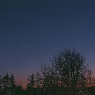 ins风背景图枯叶散尽晚秋余温,唯美图片我要个性网
