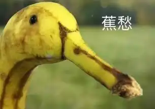 这些惊险沙雕刺激羞耻的经历,一般人还真承受不来...