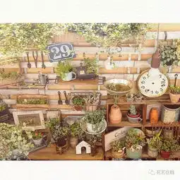 开一家解忧植物店,以此为生