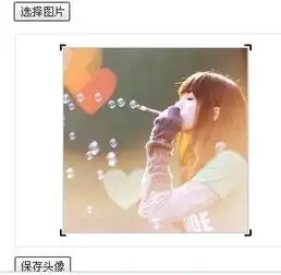 贴吧里修改头像点击确定没反应