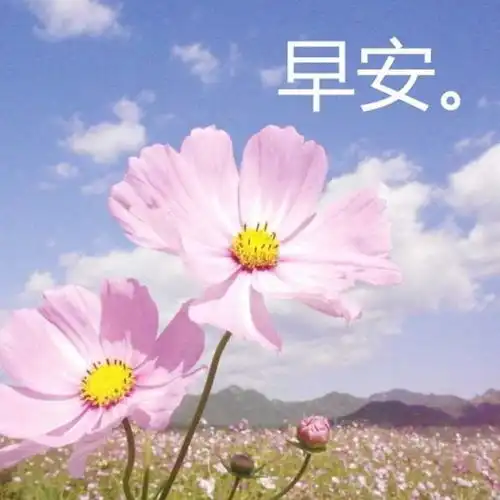 早安心语最精辟的一句话励志朋友圈早安励志经典语录