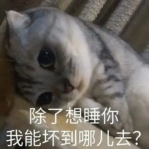 精品文学