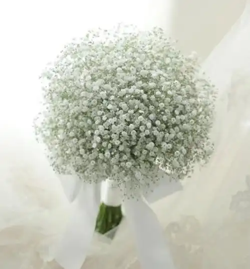 心理测试选一款你喜欢的满天星,测最近你能遇见自己的一生挚爱吗