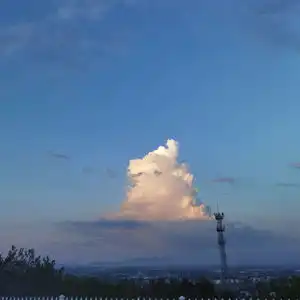 测试一个超长简介的文章