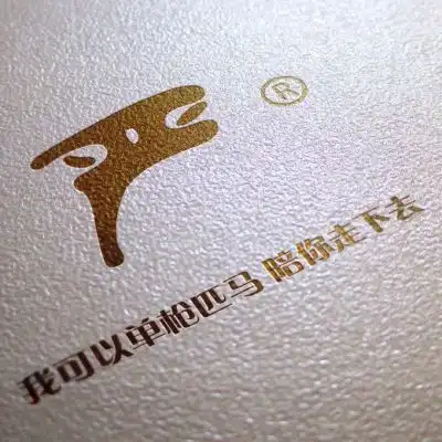 励志姓氏头像,我可以单枪匹马陪你走下去