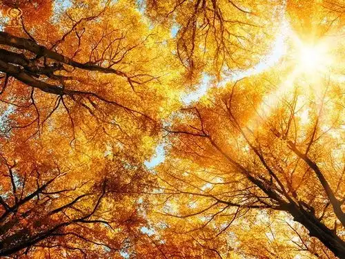 人生歪理,歪的很有道理非常有才,值得一看牢牢收藏