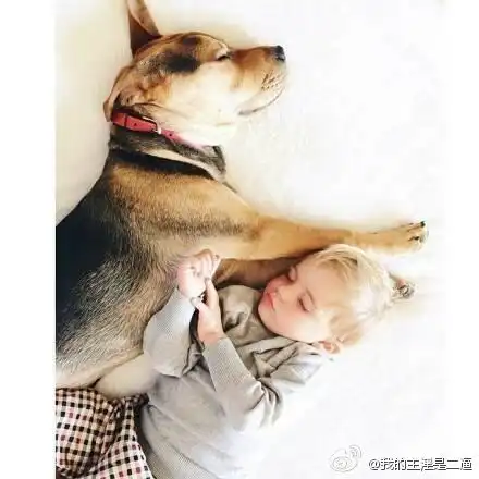 小孩和汪星人的有爱床照,表情简直蠢萌到极堆糖,美好生活研究所