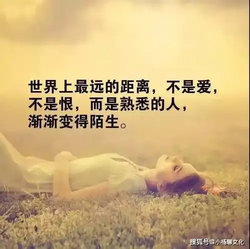 朋友圈最走心的经典语录,句句精辟,忍不住分享给你