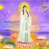 观音头像图片大全微信最好看的观音菩萨图片