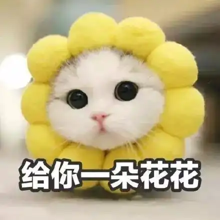 猫咪的奇葩买家秀,这一次卖家秀输了