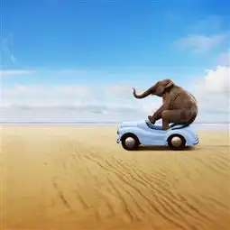 精选图片帖第83页