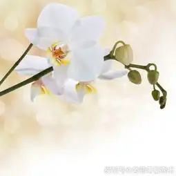 恭喜4生肖10月下旬成功逆袭,喜事接连找上门,即将变成有钱人