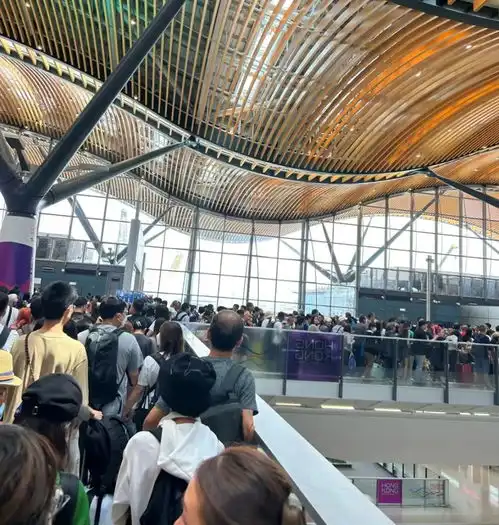 明查港珠澳大桥变鬼桥误导