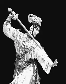 国外人士谈孔子学院友谊平台梦想纽带