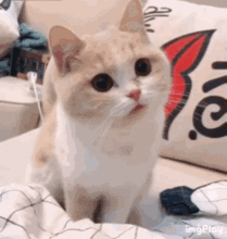 你的微信头像暴露你的性格这也太准了吧...