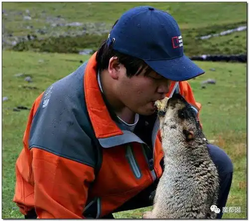 武汉不明原因肺炎通报来了可有人注意到那个诡异海鲜市场