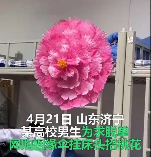 高校男生床头挂姻缘伞招桃花,画面喜感室友脱单够呛