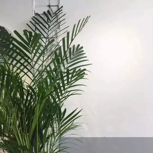 背景图我都准备放弃了,可是你又对我笑了