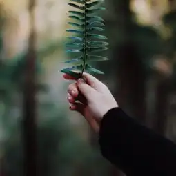 带来好运的好看高清风景头像给人爱与希望的吉利风景头像