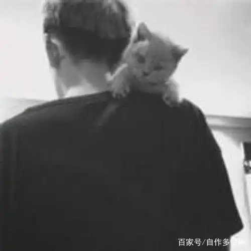 测试一个超长简介的文章
