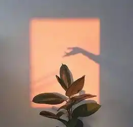 心想事成是我听过最烂的祝福语