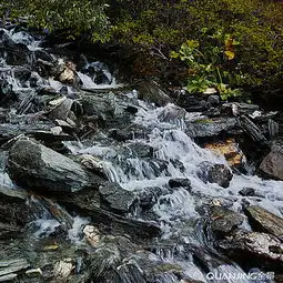 高山流水图片图片大全