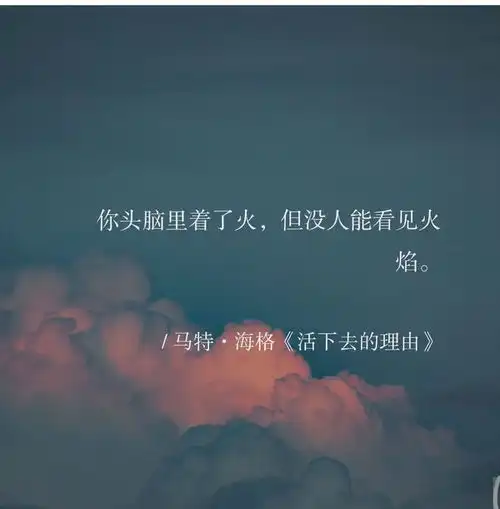 文案仔经典电影台词,今天一起仔回味一遍
