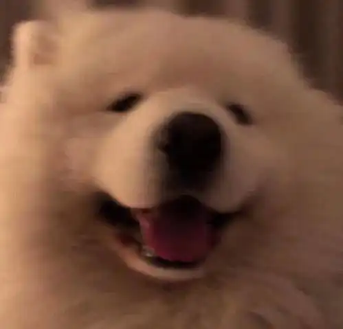 系列头像你也是从小到大被父母捧在手心长大的,怎么在爱情里却要一直忍让迁就凭什么