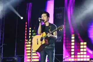 陈楚生亮相音乐节压轴登台多曲连唱