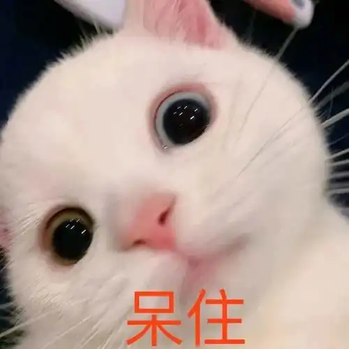 买了件网红仙女裙发给男票后,直男回复过于精彩