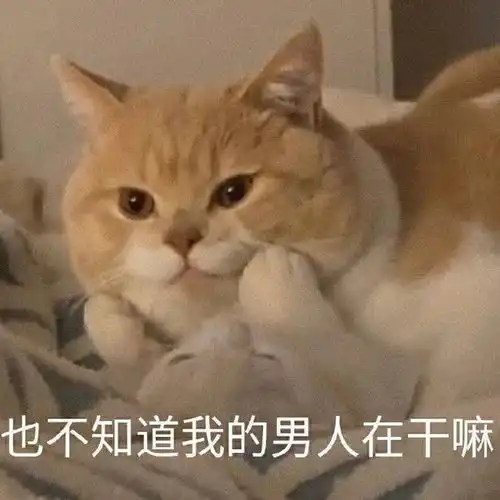独领风骚的丑萌表情包