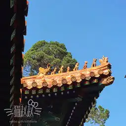 秋月澄澄秋思悠悠曲阜二日