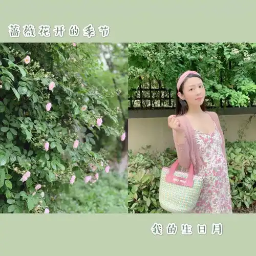 测试一个超长简介的文章