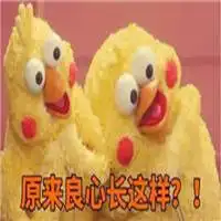 脆皮鸡鹦鹉兄弟表情包微信头像图片大全