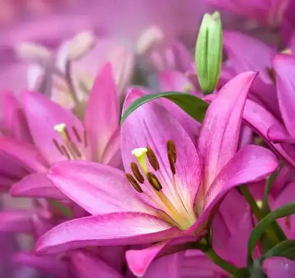 测试一个超长简介的文章