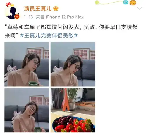 完美伴侣吴敏走到今天这一步,真的全怪林庆昆
