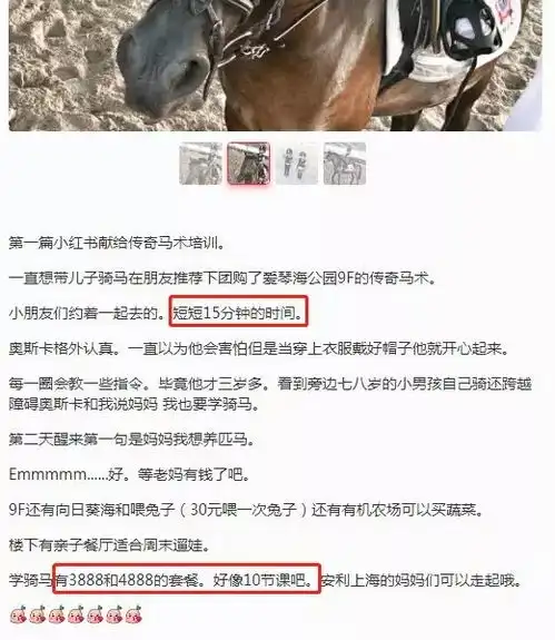 厦门商场楼顶惊现遛马人空中花园何时变成了空中马场