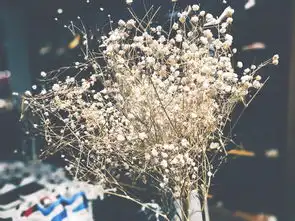 记录生活影像沉迷工作,日渐消瘦