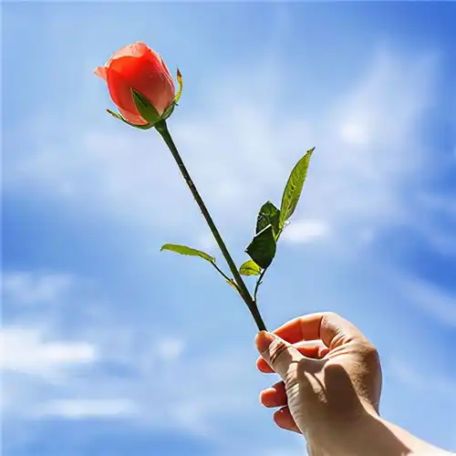 一个人,脾气越温,福报越深