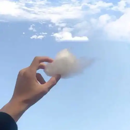 hi好酒不见