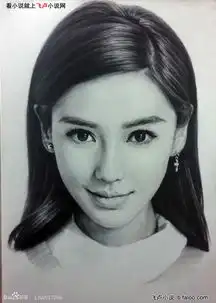 杨影1娱乐至上