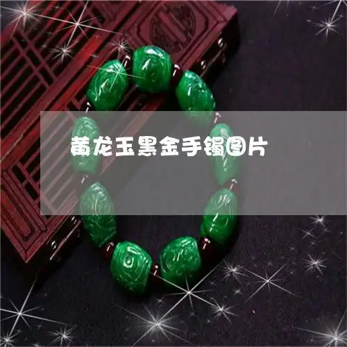 黄龙玉黑金手镯图片黄龙玉黑金手镯图片大全