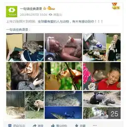 qq空间一句话经典语录