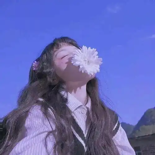 搜狐网