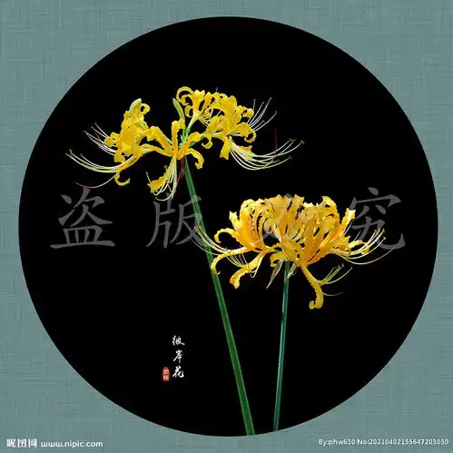 彼岸花图片