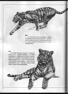 动漫手绘培训班动漫游戏培训机构