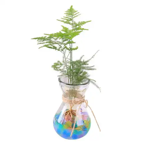 简约水培绿萝花瓶水培植物玻璃瓶透明花瓶风信子铜钱草花盆小花瓶