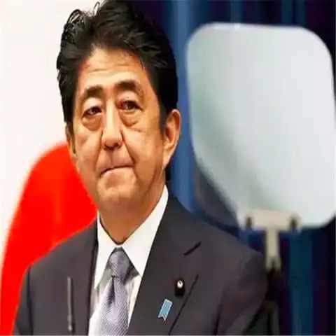 中国男子火烧靖国神社,日本全力逮捕未遂,韩国出面庇护