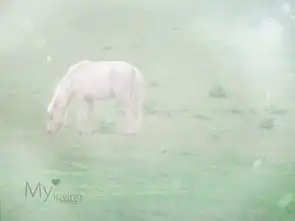 八字看你能否马到成功