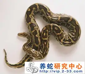 蟒蛇饲养管理与病敌害防治